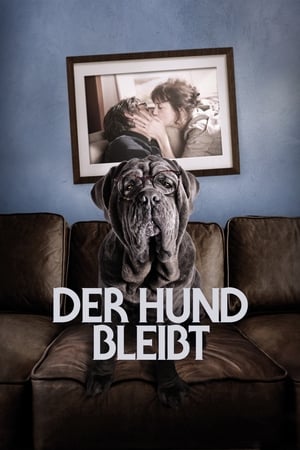 Image Der Hund bleibt