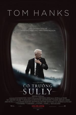 Poster Cơ Trưởng Sully 2016