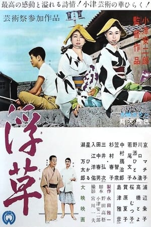Poster 浮草 1959