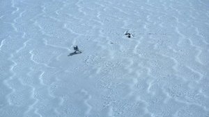 The Empire Strikes Back (1980)