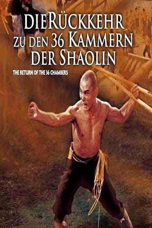 Poster Die Rückkehr zu den 36 Kammern der Shaolin 1980