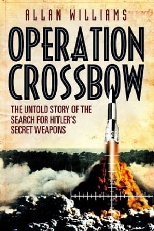 Image Operation Crossbow