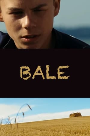 Poster Bale 2009