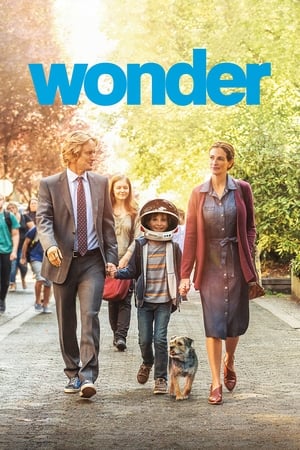 Poster Wonder 2017
