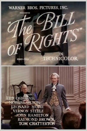 Image The Bill of Rights