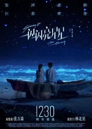 Télécharger 一闪一闪亮星星 ou regarder en streaming Torrent magnet 