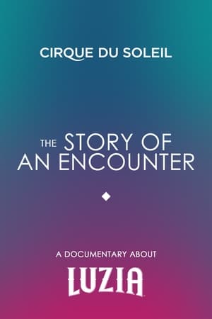 Télécharger The Story Of An Encounter ou regarder en streaming Torrent magnet 