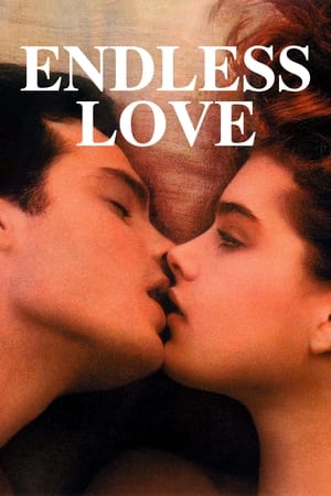 Poster Endless Love 1981