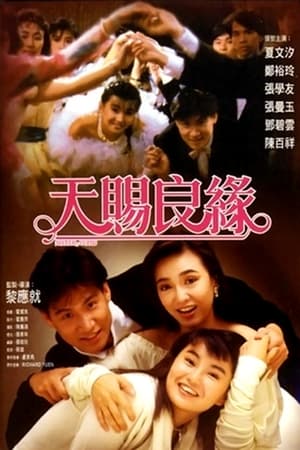 Poster 天赐良缘 1987