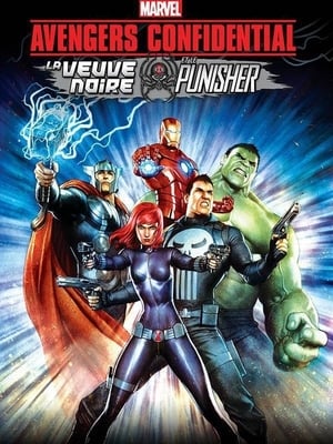 Poster Avengers Confidential : La Veuve Noire et Le Punisher 2014