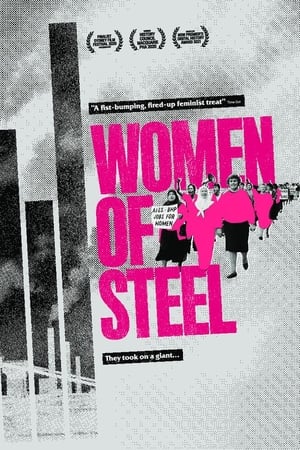 Télécharger Women of Steel ou regarder en streaming Torrent magnet 