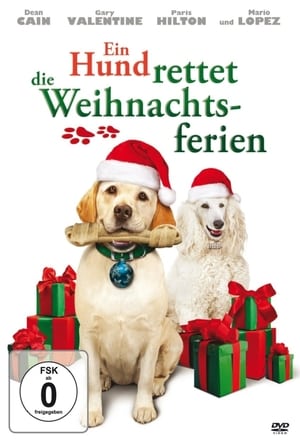 Image Ein Hund rettet die Weihnachtsferien