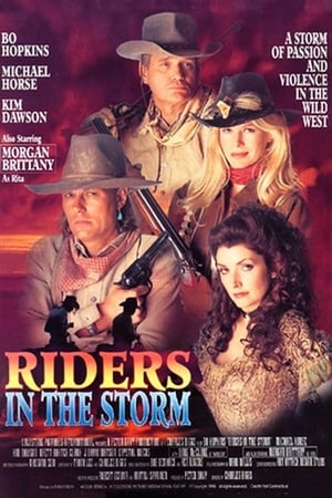 Poster Riders in the Storm 1995