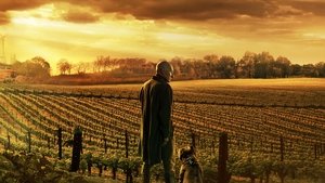 مشاهدة مسلسل Star Trek: Picard مترجم