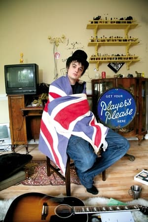 Poster Pete Doherty in 24 Hours 2009