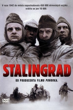 Image Stalingrad