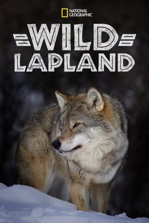 Poster Wild Lapland 2020