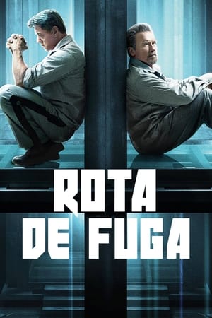 Poster Plano de Fuga 2013