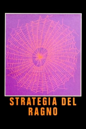 Poster 蜘蛛的策略 1970