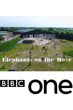 Elephants on the Move (2018)