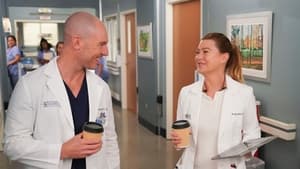 Grey's Anatomy Season 18 :Episode 3  Hotter Than Hell