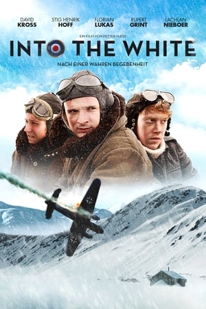 Poster Into the White 2012