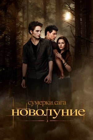 Poster Сумерки. Сага: Новолуние 2009