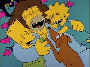 The Simpsons Season 2 Episode 2