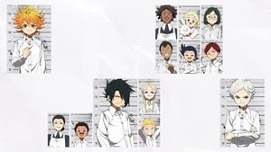 مشاهدة مسلسل اللأنمي The Promised Neverland مترجم