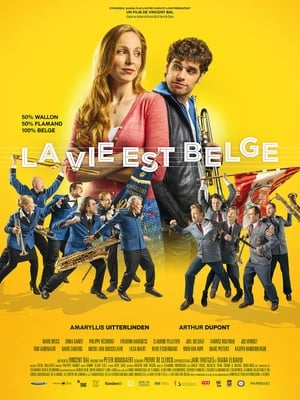 Télécharger La vie est belge ou regarder en streaming Torrent magnet 