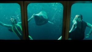 Capture of 47 Meters Down: Uncaged (2019) HD Монгол хадмал