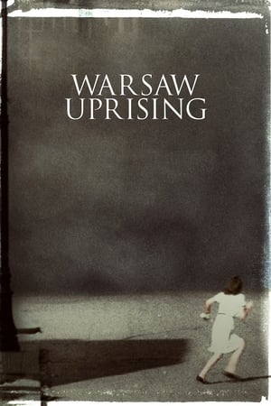 Poster Warsaw Uprising 2014