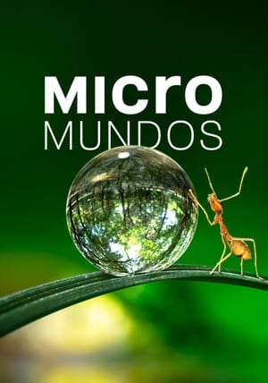 Image Micromundos