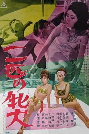 Poster 二匹の牝犬 1964