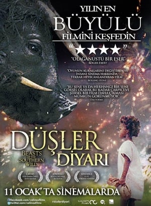 Poster Düşler Diyarı 2012