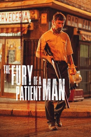 Poster The Fury of a Patient Man 2016