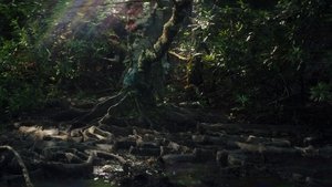 Images posters