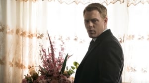 The Blacklist Season 2 Episode 18