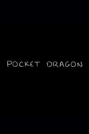 Image Pocket Dragon