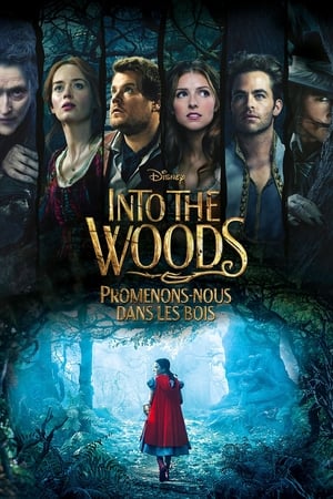 Poster Into the Woods : Promenons-nous dans les bois 2014