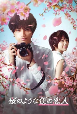 Poster Love Like the Falling Petals 2022