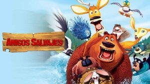 Images posters