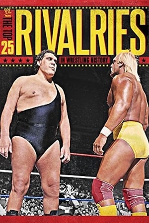 Télécharger WWE: The Top 25 Rivalries in Wrestling History ou regarder en streaming Torrent magnet 