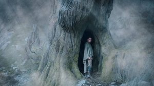 Images posters