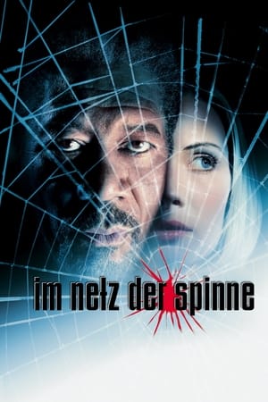 Image Im Netz der Spinne