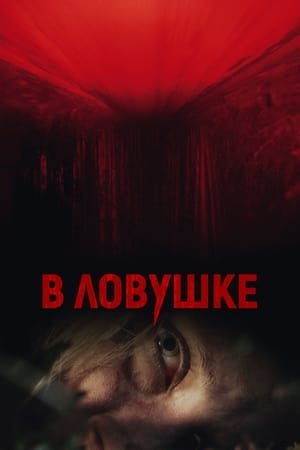 Poster В ловушке 2021