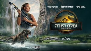 Images posters