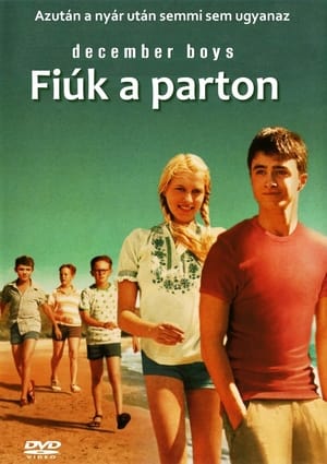 Image Fiúk a parton