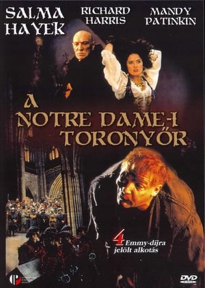 Image Notre Dame-i toronyőr