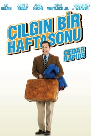 Çılgın Bir Haftasonu 2011